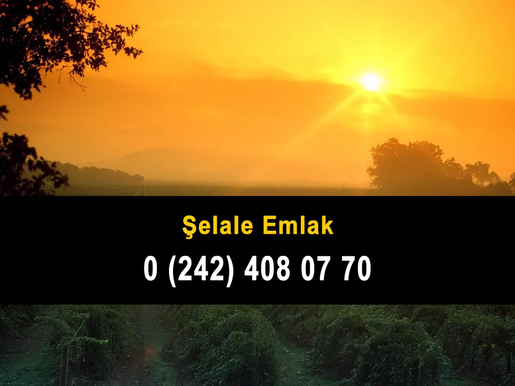 Şelale Emlak